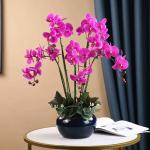 Kunstblumen Künstliches Blumenset, künstliche Phalaenopsis-Blumen, Pflanzenarrangement mit Keramiktopf, künstliche Ornamente in schöner Form für jeden Anlass