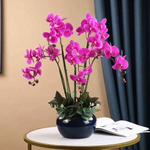 Kunstblumen Künstliches Blumenset, künstliche Phalaenopsis-Blumen, Pflanzenarrangement mit Keramiktopf, künstliche Ornamente in schöner Form für jeden Anlass