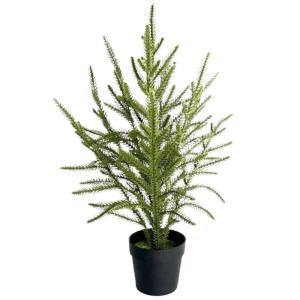 Künstlicher Weihnachtsbaum 23.6 Tall Norfolk Pine Stängelbaum mit schwarzem Topf, realistische Kunstpflanzen innen umweltfreundliche Plastik-Weihnachtsdekoration Wohndekoration