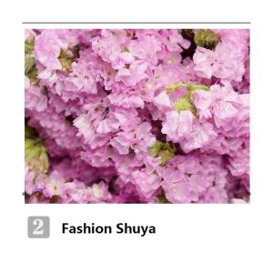 Kunstblumen Realistische künstliche Blume, künstliche Gypsophila-Blume mit Vase, getrocknete Blumen, Dekoration für Zuhause, Küche, Büro, Hotel für jeden Anlass