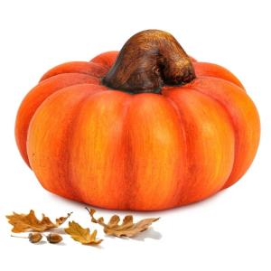 Zierkürbis orange als kleine Herbst-Deko in 10 cm - Keramik Deko-Kürbis als wetterfeste Outdoor Gartendeko - Kürbis-Deko als Erntedankfest Zimmer-Deko oder draußen Haustür Hal