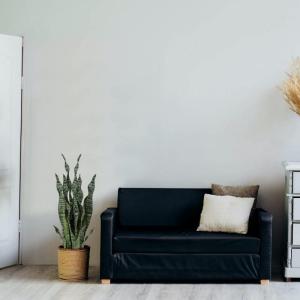 Sansevieria , 2 stuks, hoogte 64 cm, , decoratie, woonkamer, plant, kamerplanten, balkon, kantoor, decoratie, kunstplant voor tuin, kantoordecoratie
