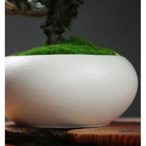 Künstlicher Bonsai-Baum Simulation Grün Bonsai Wohnzimmer Eingang Desktop Dekorationen Kiefer Topfpflanze Dekorationen Kleine Ornamente Künstliche Bäume Pflanzen