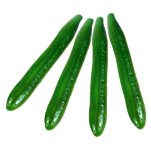4 Sätze 4 Sets Simuliertes Gemüsemodell Lebensechte Gurke Dekoration Küchendekoration Vitrine Requisiten Falsche Gurke Simulation Lebensmittelmodell Künstliche 4 Stück * 4