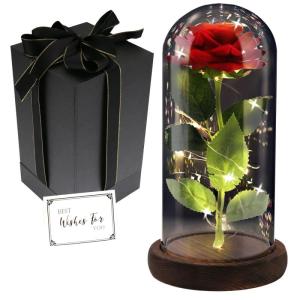Die Schöne und das Biest Ewige Rose, Rote Galaxie Rose Geschenk für Mama, Rose in Einer Glaskuppel mit LED Licht Holzsockel für Freundin Frau am Muttertag Geburtstag Valentinsta