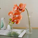 Künstliche Orchideenstiele, fühlen sich echt an, Phalaenopsis 45 cm, künstliche Orchideenzweige mit 5 großen Blumen für Vase, Hochzeit, Party, Zuhause, Garten, Dekoration (wei