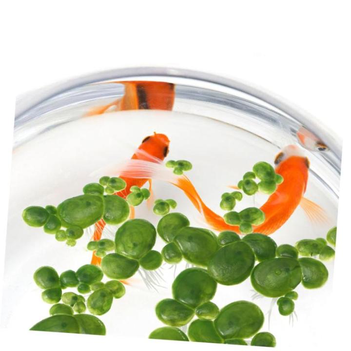 2 Sätze Wasserlinsen-Kunststoff Blätter Entengrütze Aquarium Pflanzendekor Gefälschte Entengrütze-dekor Wasserlinsen-Ornament Aquarienverzierung Aquarienanlage Plastik 90 Stü