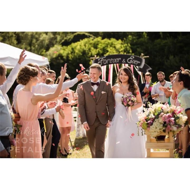 (Getrennt, Desodoriert) Künstliche gefälschte Rosenblätter für Romantische Nacht, Hochzeit, Event, Party, Dekoration, in Loser Schüttung (1000 Stücke, Aqua)