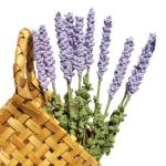 Handgemachte Häkelblumen Künstliche Wolle Gestrickte Blumen Stricken Gefälschte Lavendel