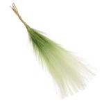 10 Stück Dekorationspflanze DIY Landschaftsdekor Künstliches Pampas Schilfrohr DIY Requisiten Schilfrohr Arrangements Für DIY Schilfrohr Arrangement Dekorrohr Für Vase