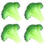 8 STK Simulierter Blumenkohl Dekorative Gemüsemodelle Realistische Gemüseattrappen Kunstpflanzen realistische Brokkoli-Requisiten gefälschte Brokkolischeibe Requisiten präsenti