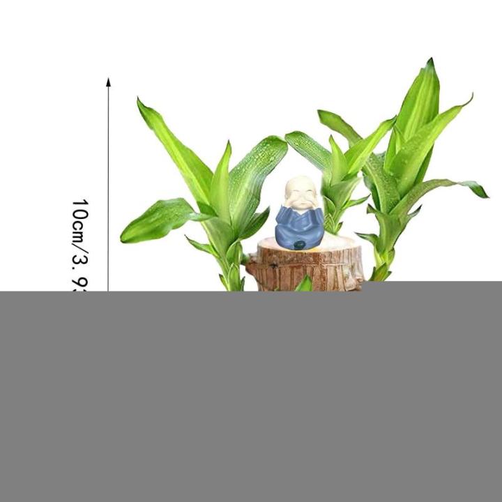 Brasilianisches Glücksholz, Brasilianisches Holz Grünpflanze, Dekoration, Hydroponischer Topfpflanzenstumpf, Brasilianische Pflanze, Mini Lächelnder Buddha, Desktop Ornament (Na