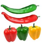 2 Sätze Simulationsmodell Paprika Schaufensterpuppe Maneküre- Set Gemüsemodell Repiclas Gefälschte Essensrequisite Gefälschte Lebensmittelmodellstütze Poly-Drache 5 Stück * 