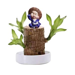 Braziliaans gloeiend hout, Braziliaanse houten plant, mini gelukshhout uit Braziliaanse houten plant met monnikstandbeelden, desktopplant, Braziliaanse houtplant, stomp