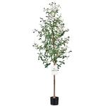180cm künstliche Olivenbaum, nur für den Innenbereich mit lebendigem Stamm, verstellbarem Zweig und prallen Oliven, deko für Büro, Laden, Wohnung und Party