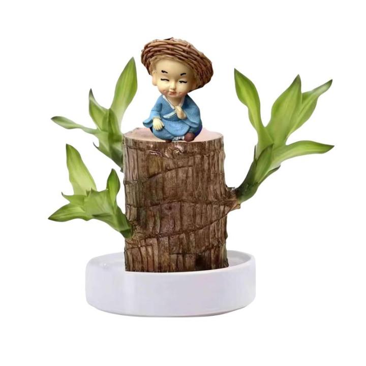 Braziliaans gloeiend hout, Braziliaanse houten plant, mini gelukshhout uit Braziliaanse houten plant met monnikstandbeelden, desktopplant, Braziliaanse houtplant, stomp