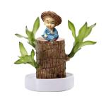 Braziliaanse geluksplant set kleine mini gelukshhout uit Brazilië Braziliaanse houten plant met monnikstandbeelden, desktop plant, Braziliaanse houtplant, plantenstronk hydrocultu
