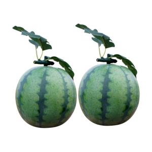 2st Wassermelonenmodell Layout-szenendekor Künstliches Wassermelonen-modelldekor Künstliches Wassermelonendekor Szenenschmuck Lebensechtes Fruchtmodell Falsches Obst Green Schaum