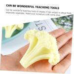 5 Teiliges Blumenkohl Modell Realistisches Spiel Lebensmittelsimulation Gemüse Brokkoli Spielzeug Lebensechtes Gemüse Gefälschte Salatsimulation Brokkolischeibe