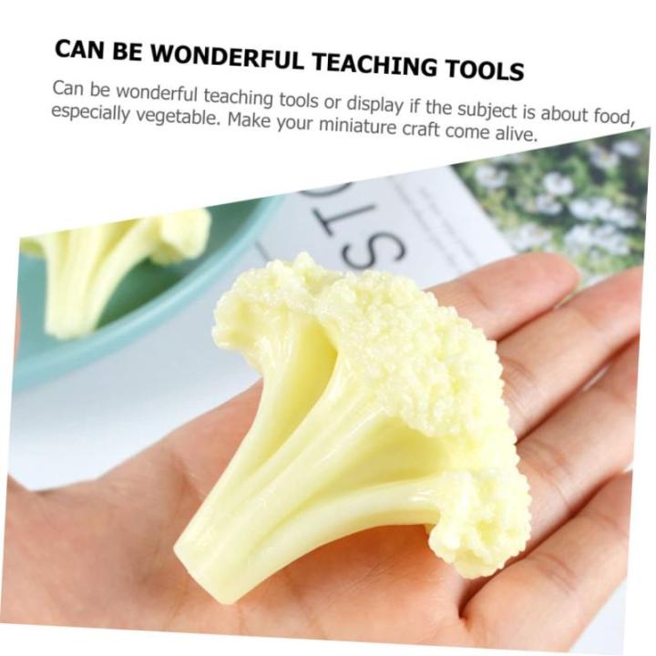 5 Teiliges Blumenkohl Modell Realistisches Spiel Lebensmittelsimulation Gemüse Brokkoli Spielzeug Lebensechtes Gemüse Gefälschte Salatsimulation Brokkolischeibe