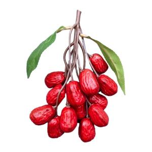 Künstliches Rotdatum, realistisches Jujube-Ornament, simuliertes getrocknetes Nussmodell für Fotografie, Bürodekorationen