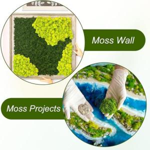 100 g kunstmos om te decoreren, knutselmos, nep decoratief mos om te knutselen, decoratie, voor muur, kerststal, aquarium, creatief groen, kamerplantendecoratie, modelbouw, donkerg