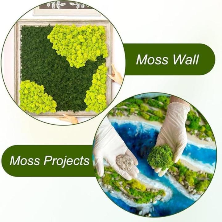 100 g kunstmos om te decoreren, knutselmos, nep decoratief mos om te knutselen, decoratie, voor muur, kerststal, aquarium, creatief groen, kamerplantendecoratie, modelbouw, donkerg