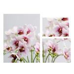 Kunstblumen Künstliche Blumen mit Blumentopf – Hotel-Tischaufsätze, künstliche Blumen, Seidenblumen, Phalaenopsis-Blumenstrauß mit Vase für jeden Anlass