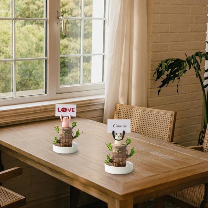 Mini Brasilien Lucky Wood, Brazilian Lucky Wood Plant, Hydroponic Tree Stump IndoorOffice Desktop Plant to Purify Indoor Air Live Feng Shui Decor, Easy Growth (Pig)