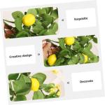 5st Simulation Zitronenrattan Herbstliche Fruchtgirlande Dekorationen Für Zu Hause Zweig Der Zitrone Dekor Für Zu Hause Zitronendekoration Für Zu Hause Kunstpflanzen Green Plast