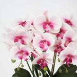 Kunstplant orchideeën kunstbloemen kunstbloemen als echt met echte bloemen in keramische pot tafeldecoratie vensterbank decoratie, hoogte 44 cm, roze