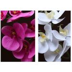 Kunstblumen Phalaenopsis-Kunstblumen-Arrangement mit Keramiktopf, künstliche Blumen, Seiden-Orchideen-Blume für den Tisch im Wohnzimmer für jeden Anlass