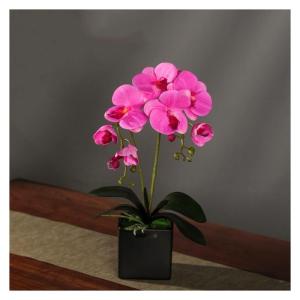 Kunstblumen Künstliches Phalaenopsis-Blumenarrangement, künstliche Orchideen-Bonsai im Topf, Pflanze für Zuhause, Büro, Küche, Schlafzimmer für jeden Anlass