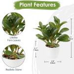 in pot, 28 cm, voor woondecoratie, kunstmatige kamerplant, camellia, bloemstukken, thuis- en kantoordecoratie, desktop, bonsai, met potten, tafeldecoratie, huis, balkon,