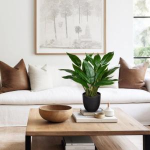 Kunstplant als echte kunstplant, decoratieve plant Calathea, struikachtig met 22 bladeren in kunststof pot, kamerplant, hoogte 43 cm, groen