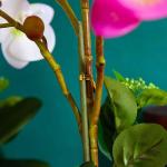 Kunstblumen Künstliches Blumenset, Seidenorchideenblumen, künstliche Bonsai-Kunstblumen-Phalaenopsis-Dekoranordnung in Goldener Vase für jeden Anlass