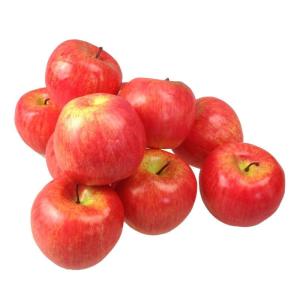 Kunstdecoratie, appel, 10 stuks, rood, 90-120 g/uur, levensecht plastic fruit, plastic vruchten, kunstfruit, decoratie, etalage, huishouden, keuken, feest, hotel, kinderkeuken, spe