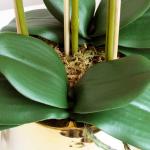 Kunstblumen Künstliche Blumen für den Innenbereich, Seidenorchideenblüten in Goldener Keramikvase, Dekorationsgeschenk für Freunde und Familie, schöne Form für jeden Anlass