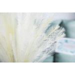 5 stks Kunstbloemen, Pampas Gras Larg Ascendant Gras Nep Bloemen Gras voor Bruiloft Boeketten Home Party Hotel Centerpieces Decoraties, Beige