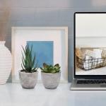 4 stuks in pot, kleine kunstplant, eucalyptus, vetplanten, rozemarijn, plastic planten zoals echt, mini-nepplanten voor badkamer, woonkamer, vensterbank, bureau, binnendecoratie