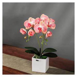 Kunstblumen Künstliches Phalaenopsis-Blumenarrangement, künstliche Orchideen-Bonsai im Topf, Pflanze für Zuhause, Büro, Küche, Schlafzimmer für jeden Anlass