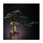 Künstlicher Bonsai-Baum Künstlicher Bonsai-Baum for den Innenbereich, groß, grün, Simulation Willkommenskiefer, Bonsai-Baum, Wohnzimmer, Büro, Desktop-Dekoration, künstliche 