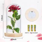 Die Beautiful and the Best Rose, eeuwige roos in transparante koepel, rozencadeau voor Moederdag, jubileum, verjaardag, Valentijnsdag, kamerdecoratie
