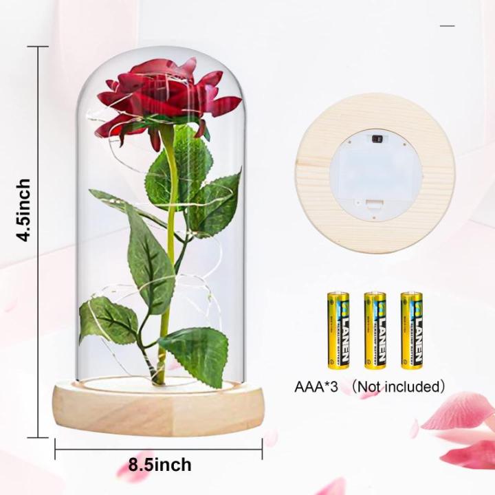 Die Beautiful and the Best Rose, eeuwige roos in transparante koepel, rozencadeau voor Moederdag, jubileum, verjaardag, Valentijnsdag, kamerdecoratie