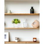Kunstvetplanten, voor woondecoratie, 15,7 cm (15,7 cm), gepot, kunstvetplanten, in keramische potten, moderne voor binnen, voor badkamer, plank, kantoordecoratie