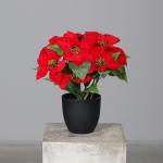 Poinsettia Kunstkerstster in pot, 40 cm, kunstbloem Poinsettia in natuurgetrouwe replica, kerstbloem, decoratieve plant, zijdebloem, kunstplant, winterbloem met fluweelachtige bloe