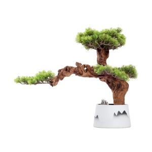 Künstlicher Bonsai-Baum Künstlicher Zedern-Bonsai-Baum, 45,7 cm hoch, künstliche Topfpflanze, Schreibtisch-Display mit weißen Keramiktöpfen, for Heim- und Bürodekoration Kün