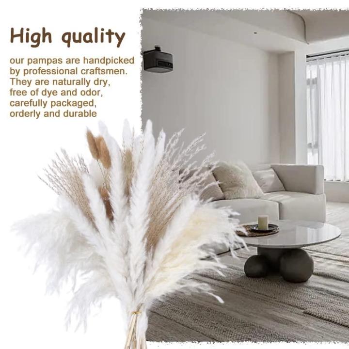 Pampas gedroogde bloemendecoratie, natuurlijk, 67 stuks, doe-het-zelf, gedroogde bloemen, boeket, ideaal voor boho, woonkamer, bruiloft, slaapkamer en vazen (LZGSGO-0102)