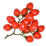 3st Simulierte Kleine Tomaten Kunstfruchtdekor Realistisch Obstverzierung Für Zu Hause Fotografie-Requisiten Lebensechte Gefälschte Kirschtomaten Heimdekoration Schaum