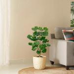 Kunstplant in zwarte pot, 68 cm hoog, kunstmatige Aralia Balfour boom, kunstmatige Aralia Polyscias Fabian plant, kunstboom, potplant voor thuis, kantoor, woonkamer, decoratie